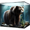 Bear in the aquarium