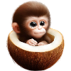 Affe in einer Kokosnuss