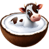 Cow in coconut