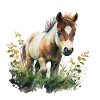 Baby Pony