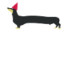 Dachshund Dachshund Club