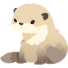 Cute Mongoose