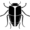 Cockroach