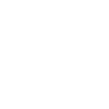 Flower Flower Plant