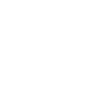 Flower Flower Plant