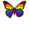 Gay Pride Rainbow Flag Butterfly