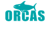 Orca Whale Gifts
