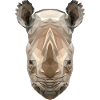 Rhinoceros