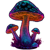 Mushroom Fungi Art Graphic