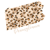 Pennsylvania Leopard Pattern Card