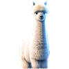 Alpaga blanc