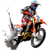 Motorcycle cross Enea