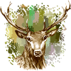 Hirsch