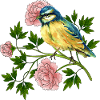Bunter Vogel