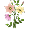 Fleur