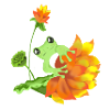 Grenouille et fleurs