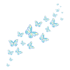 Blaue Schmetterlinge Schmetterling Schwarm Bunt