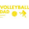 Sport Dad Definition Volleyball