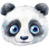 Panda Aquarelles
