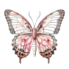 Exotic Pink Butterfly Tropical