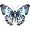 Papillon bleu exotique