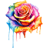 Rose in Regenbogenfarben