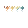 fast ostrich animal bird