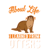 Otter Fischotter Seeotter