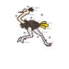 Ostrich running ratite savannah