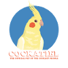 Cockatiels Bird Owner Bird Gift