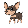 Chihuahua Dog Race Dog Chiens