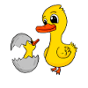Duck Family - Duck with Baby
