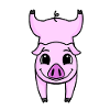 Handstand Pig Gymnastics Headstand Gymnastics