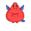 Fat Funny Parrot Dick