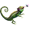 Chameleon eats fly