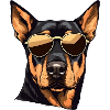Rottweiler Cool