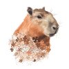 Signes d’autisme Capybara