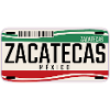 registration of Zacatecas Mexico