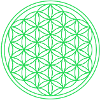Fiore del simbolo della vita Fiore della vita Yoga verde