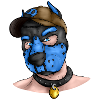 PupBlue