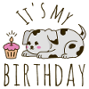 It's my Birthday Dog