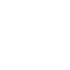 faux délinquant