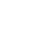 Flower Flower Plant