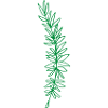 Flower Flower Plant