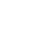 Flower Flower Plant
