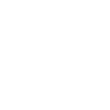 Flower Flower Plant