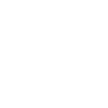 Flower Flower Plant
