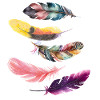 Feathers