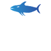 Orca Whale Gifts