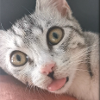 Kitty Luna confuse